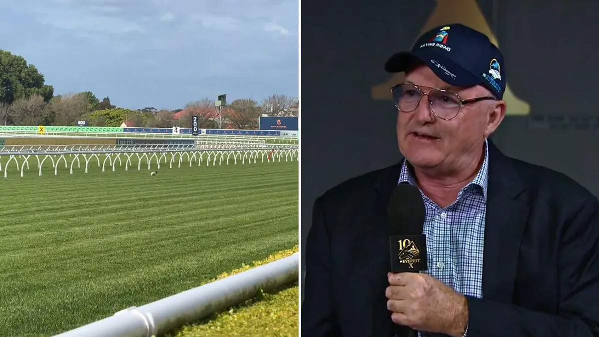 Rain-affected turf and running rail at a racecourse
