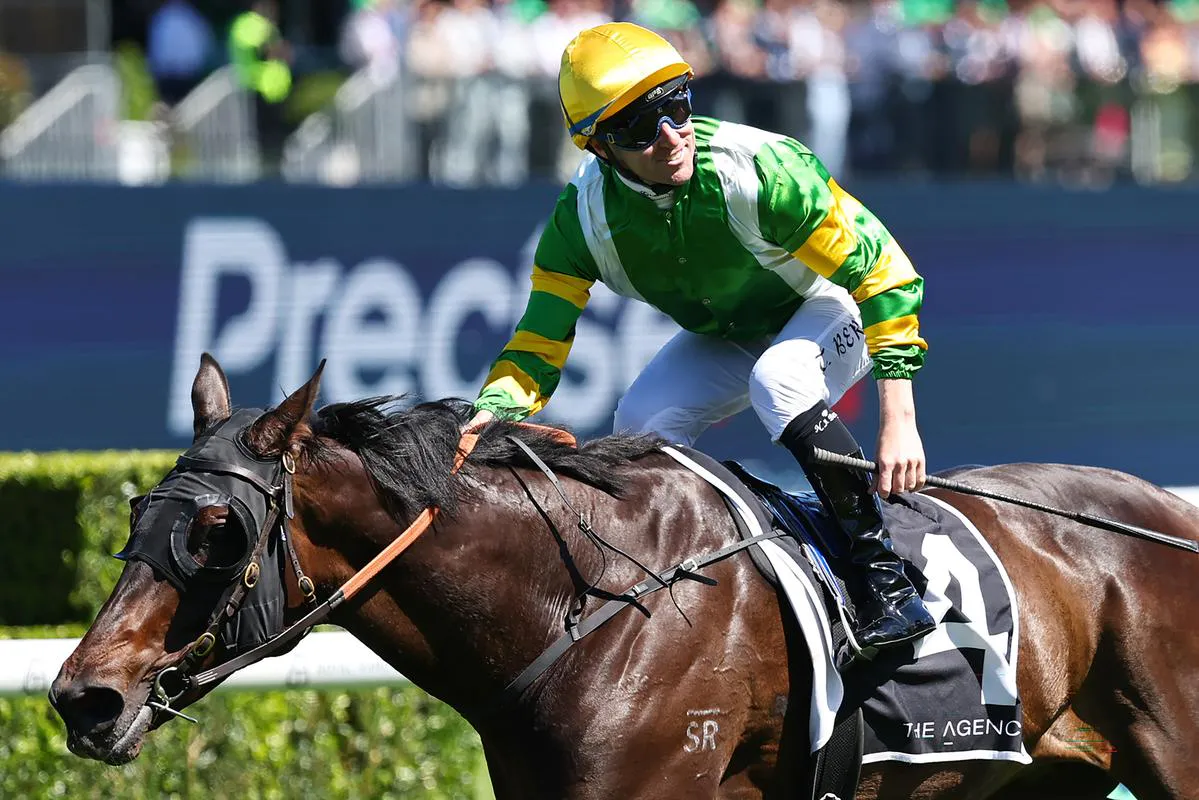Racehorses competing on a turf track
