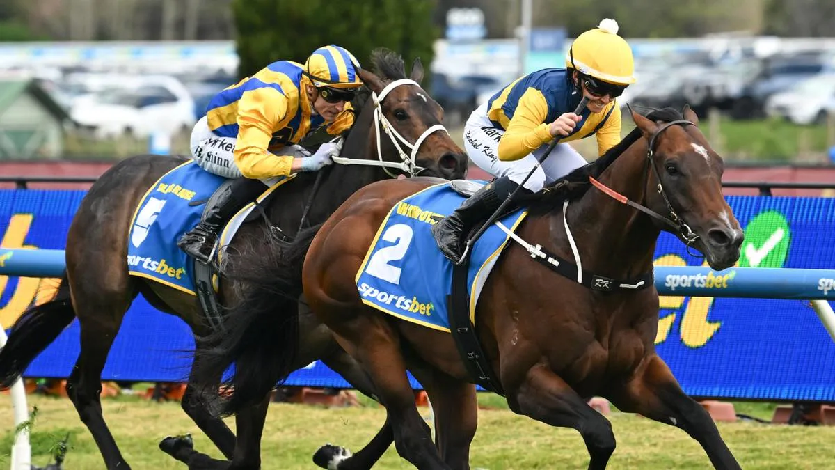 Turf track and running rail at a horse racing venue