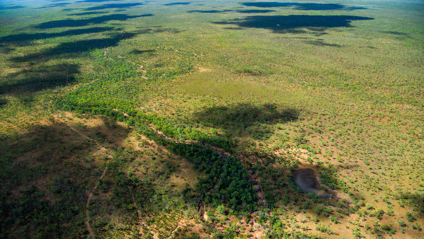 Savannah grassland and wetlands in northern Queensland