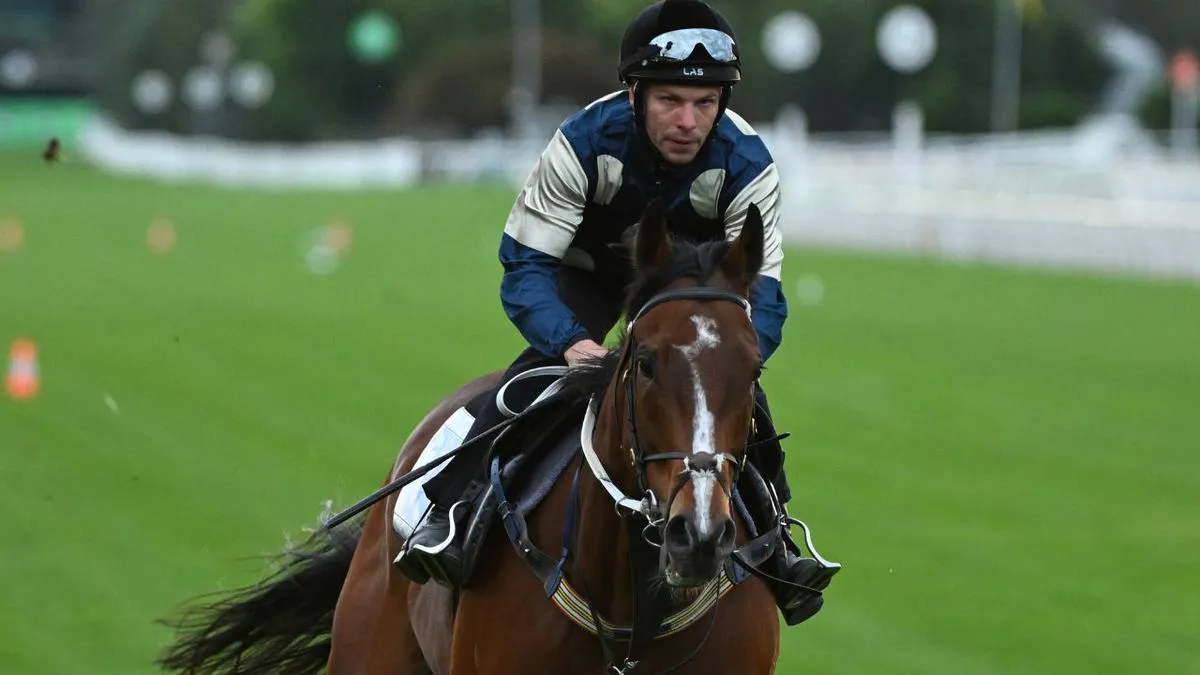 Racehorses galloping on a grass training track