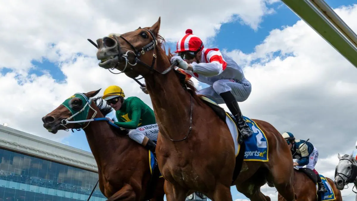 Starting barriers on a horse racing track