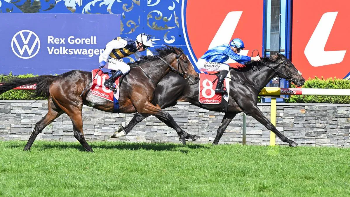 Racehorses competing on a turf track