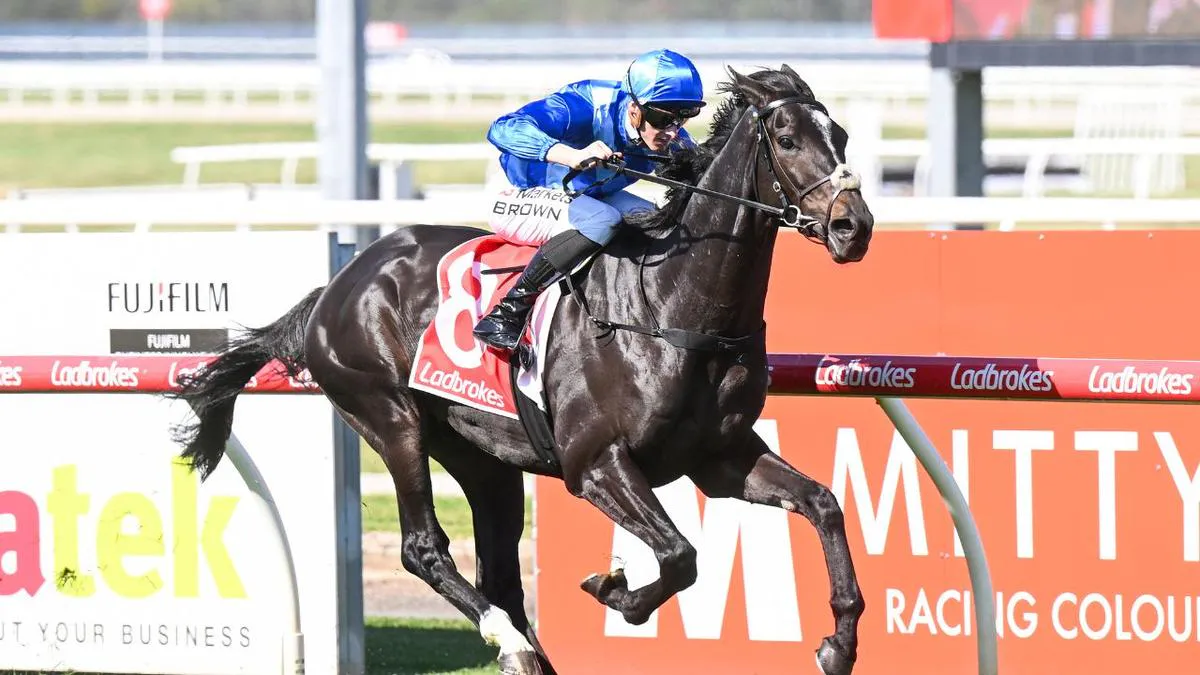 Racehorses running on a turf track