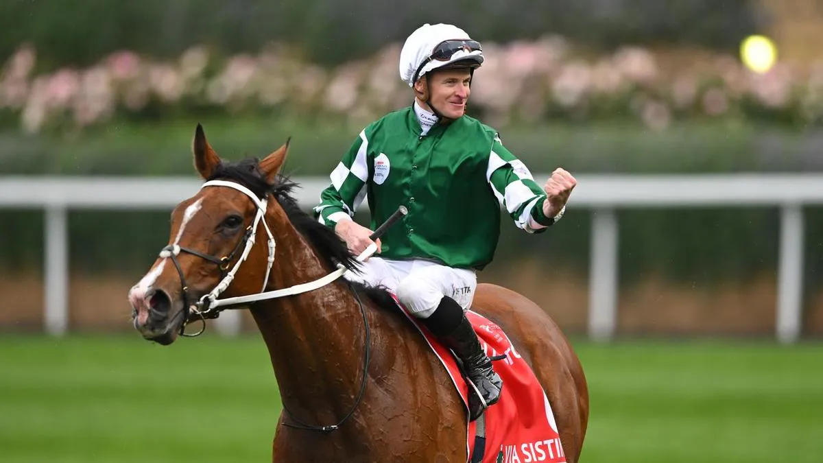 Racehorses and jockeys on a turf racetrack
