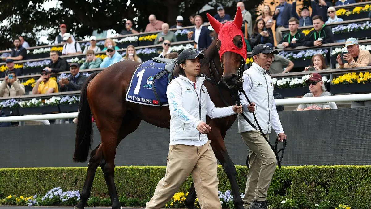 Horses training on a grass racecourse