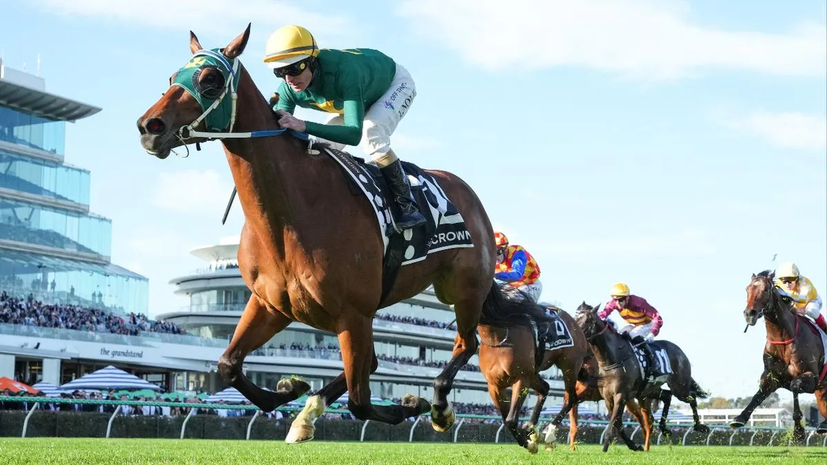 Starting barriers on a horse racing track