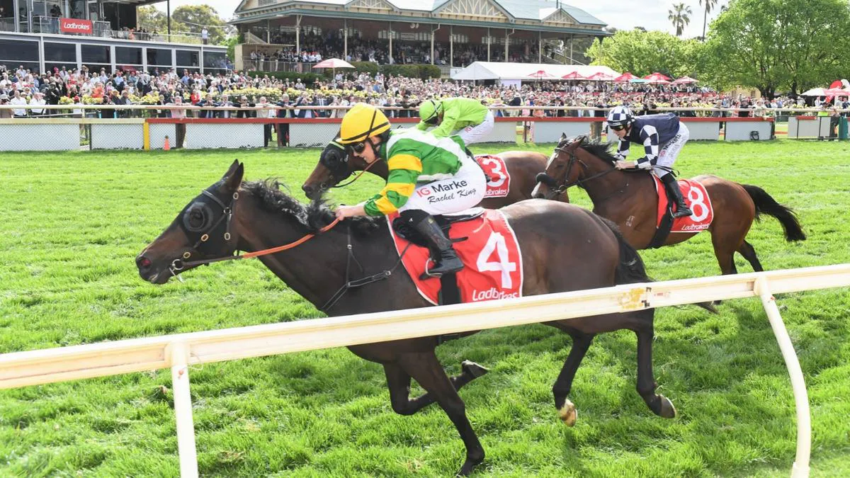 Racehorses competing on a turf track