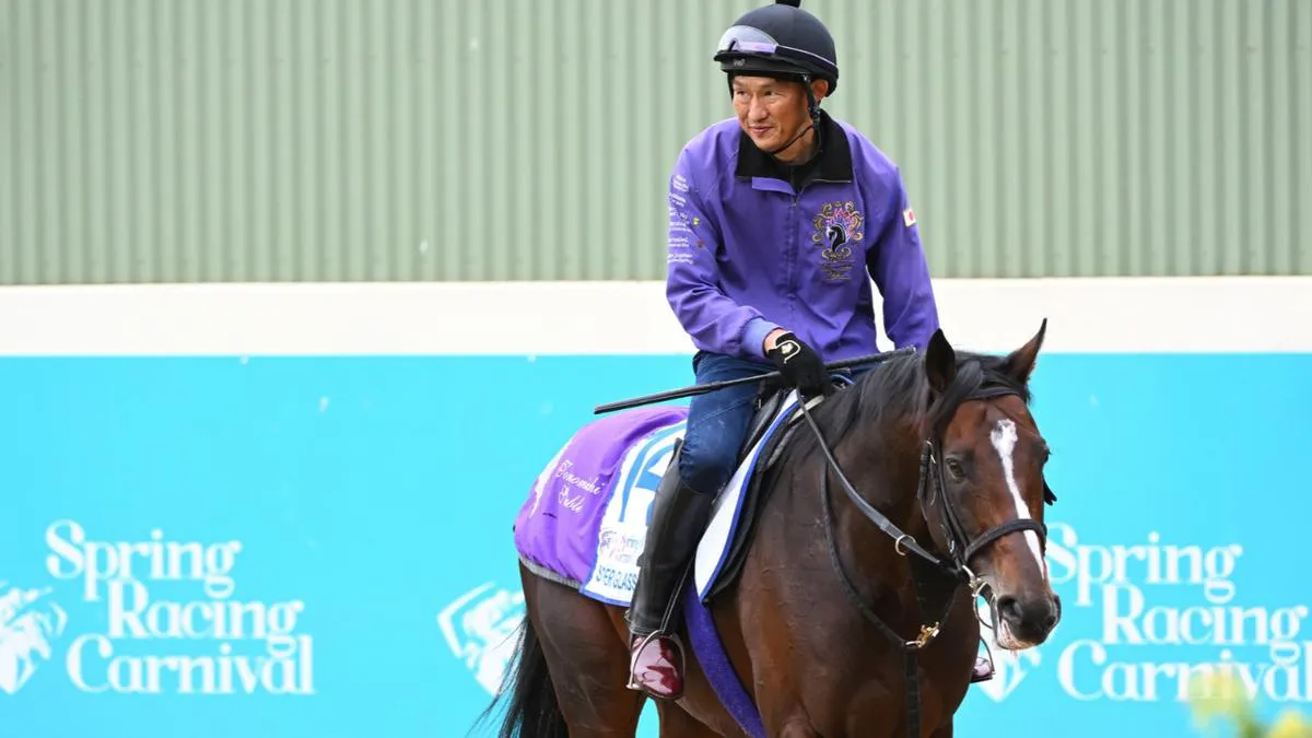 Racehorses running on a turf track