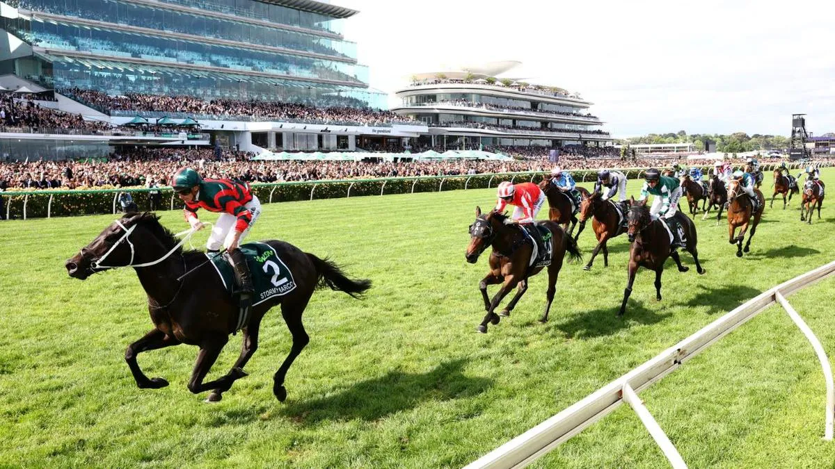 Racehorses and jockeys on a turf racing track