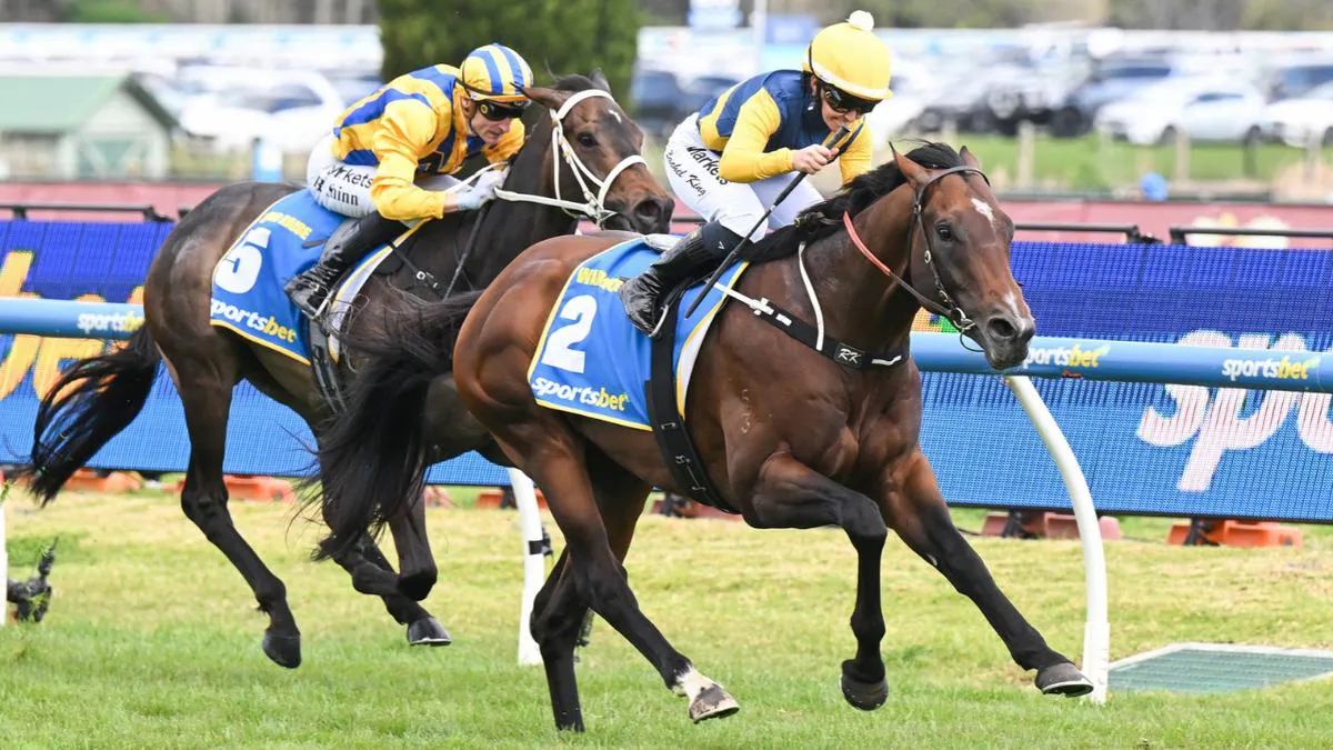 Racehorses and jockeys on a turf racetrack