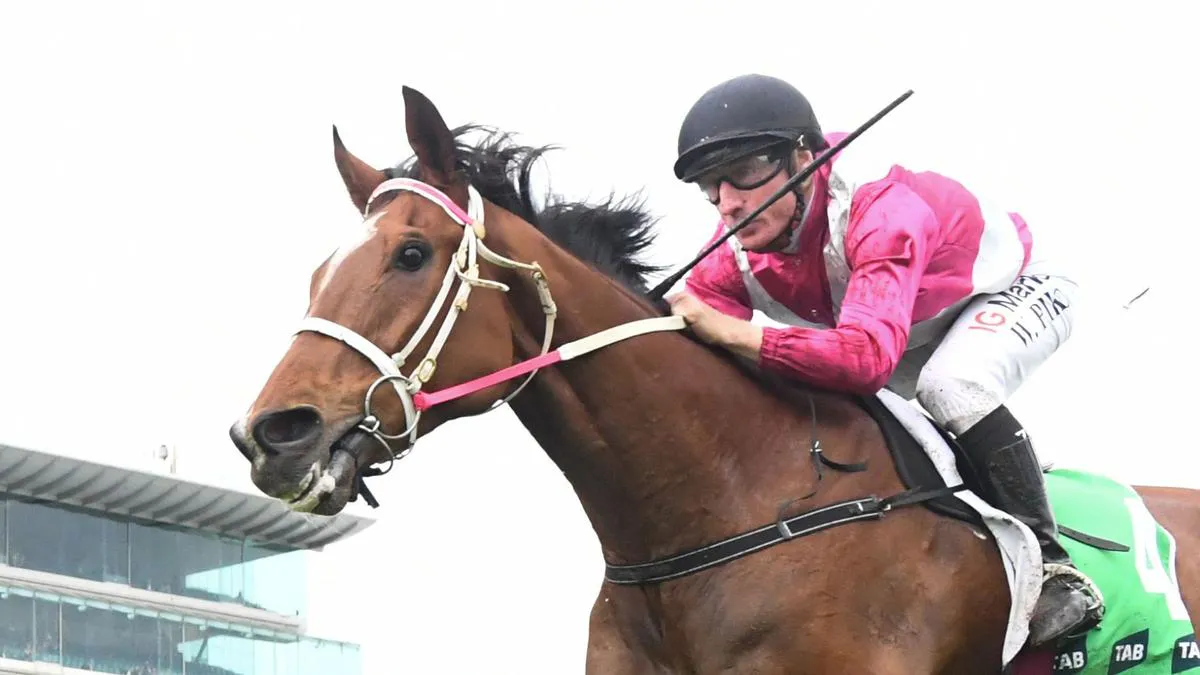 Starting barriers on a horse racing track